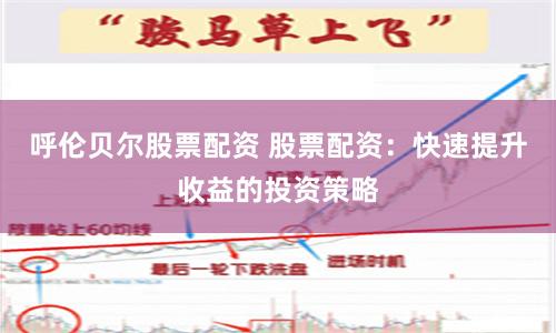 呼伦贝尔股票配资 股票配资：快速提升收益的投资策略