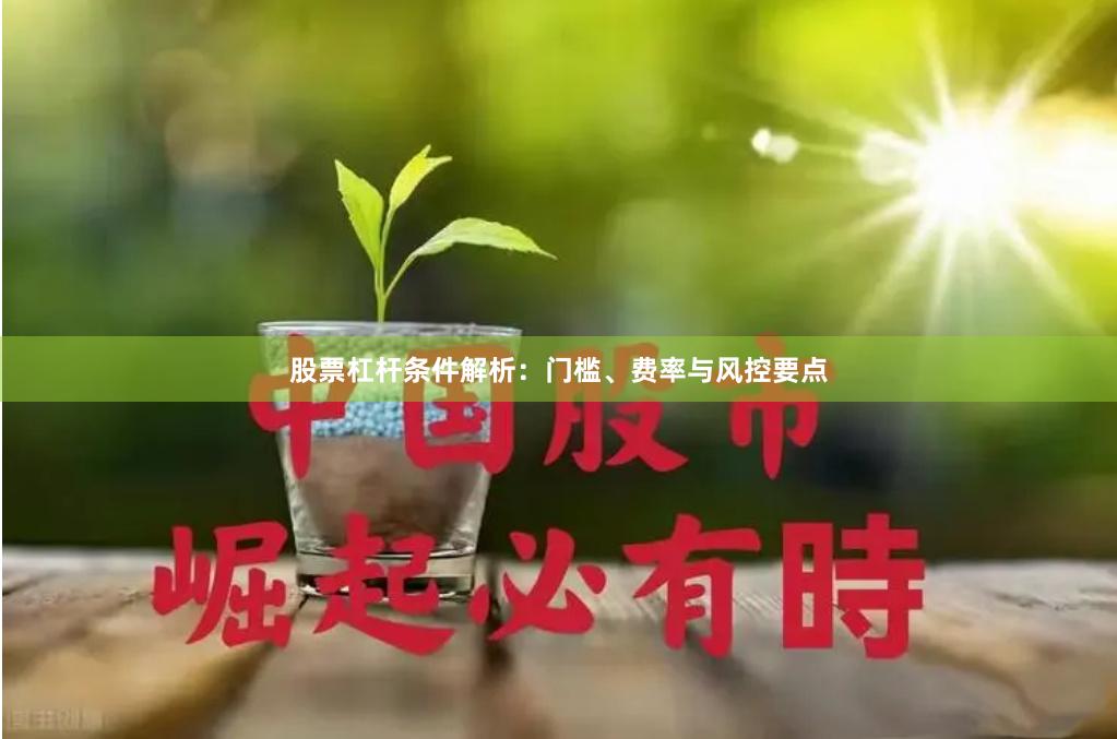 股票杠杆条件解析：门槛、费率与风控要点